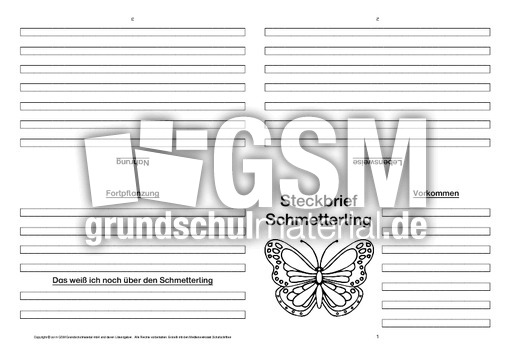 Schmetterling-Faltbuch-vierseitig-1.pdf